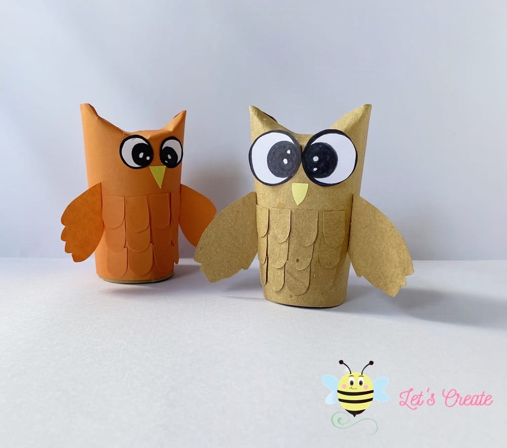 Toilet Paper Roll 3D Owl Craft