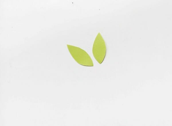 paper flower leaves