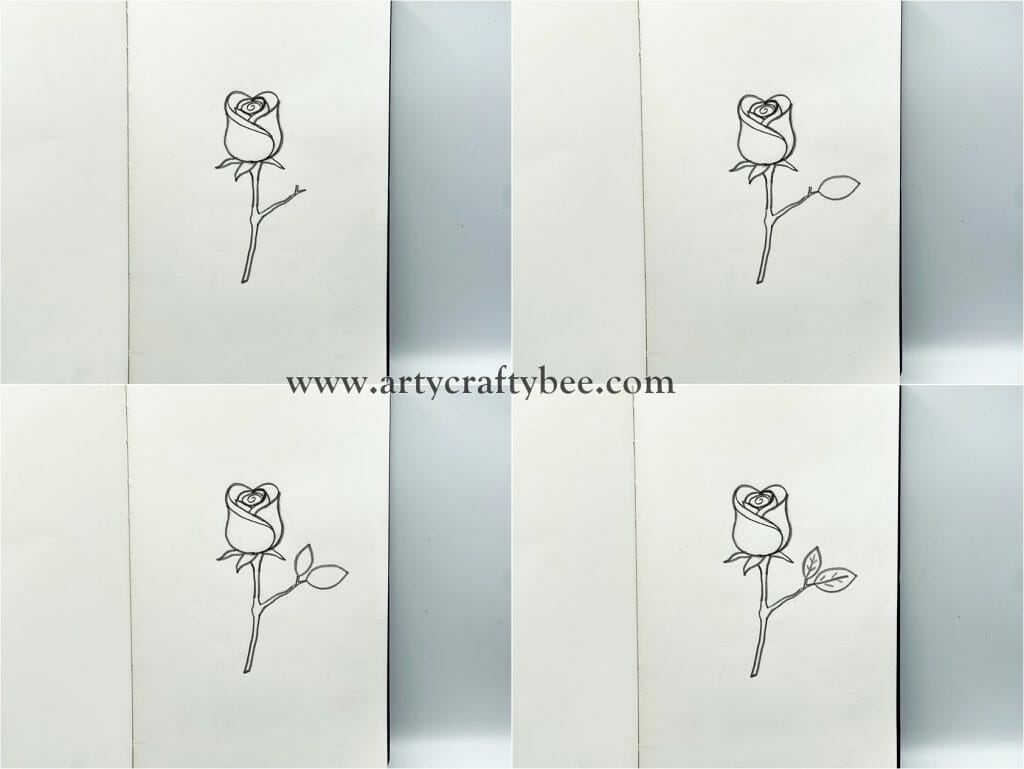 rose drawing step by step 5
