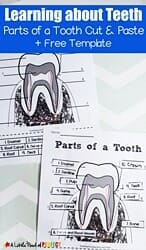 tooth craft activities for kids