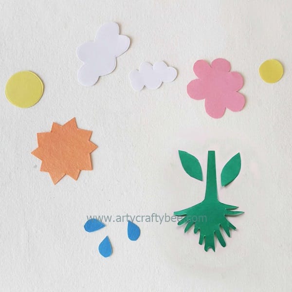 photosynthesis craft project for 4th grade