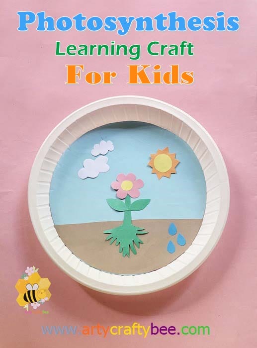photosynthesis craft