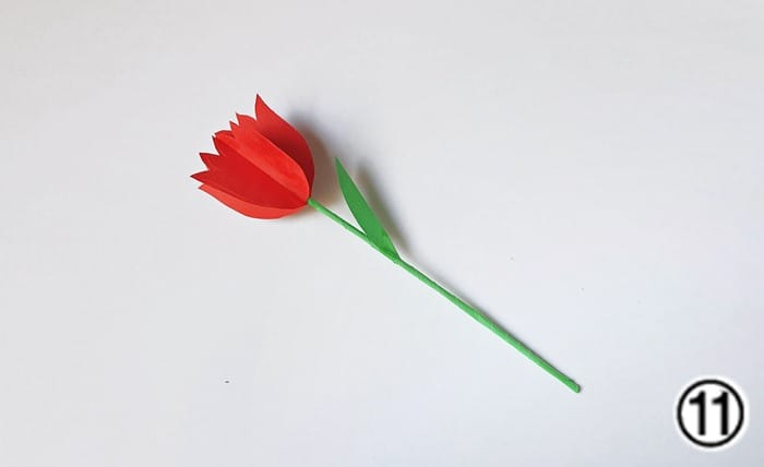 paper tulips tutorial