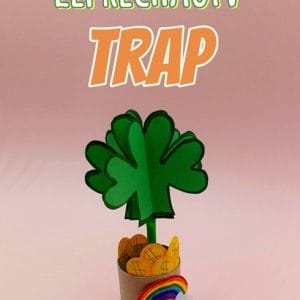easy leprechaun trap